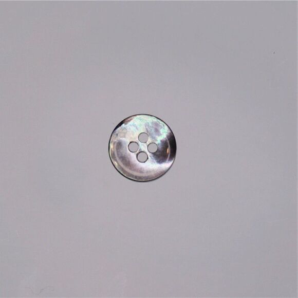 Salvatore Ferragamo Replacement Button Pearlized Silver Color 4 Hole Small - Picture 11 of 12